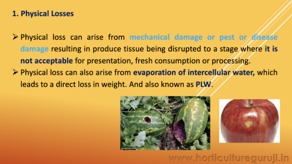 Extent and Possible Causes of Post Harvest Losses PPT - Image 2